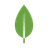 MongoDB